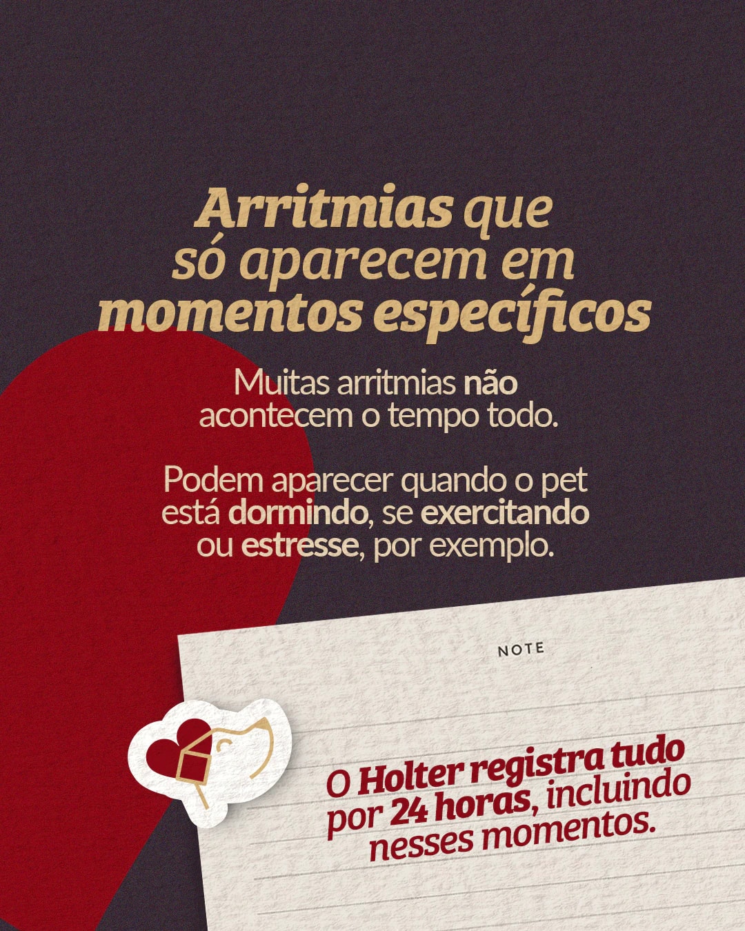 Explicação sobre arritmias que aparecem em momentos específicos do projeto PET CARDIO BRASÍLIA