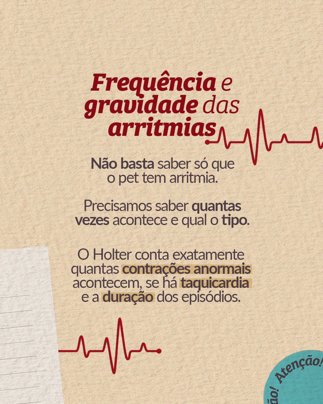 Explicação sobre frequência e gravidade das arritmias registradas pelo Holter do projeto PET CARDIO BRASÍLIA