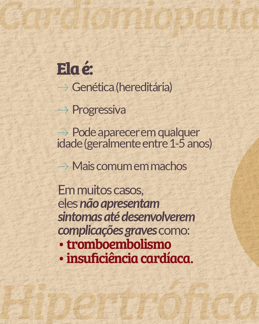 Características e complicações da cardiomiopatia hipertrófica felina do projeto PET CARDIO BRASÍLIA