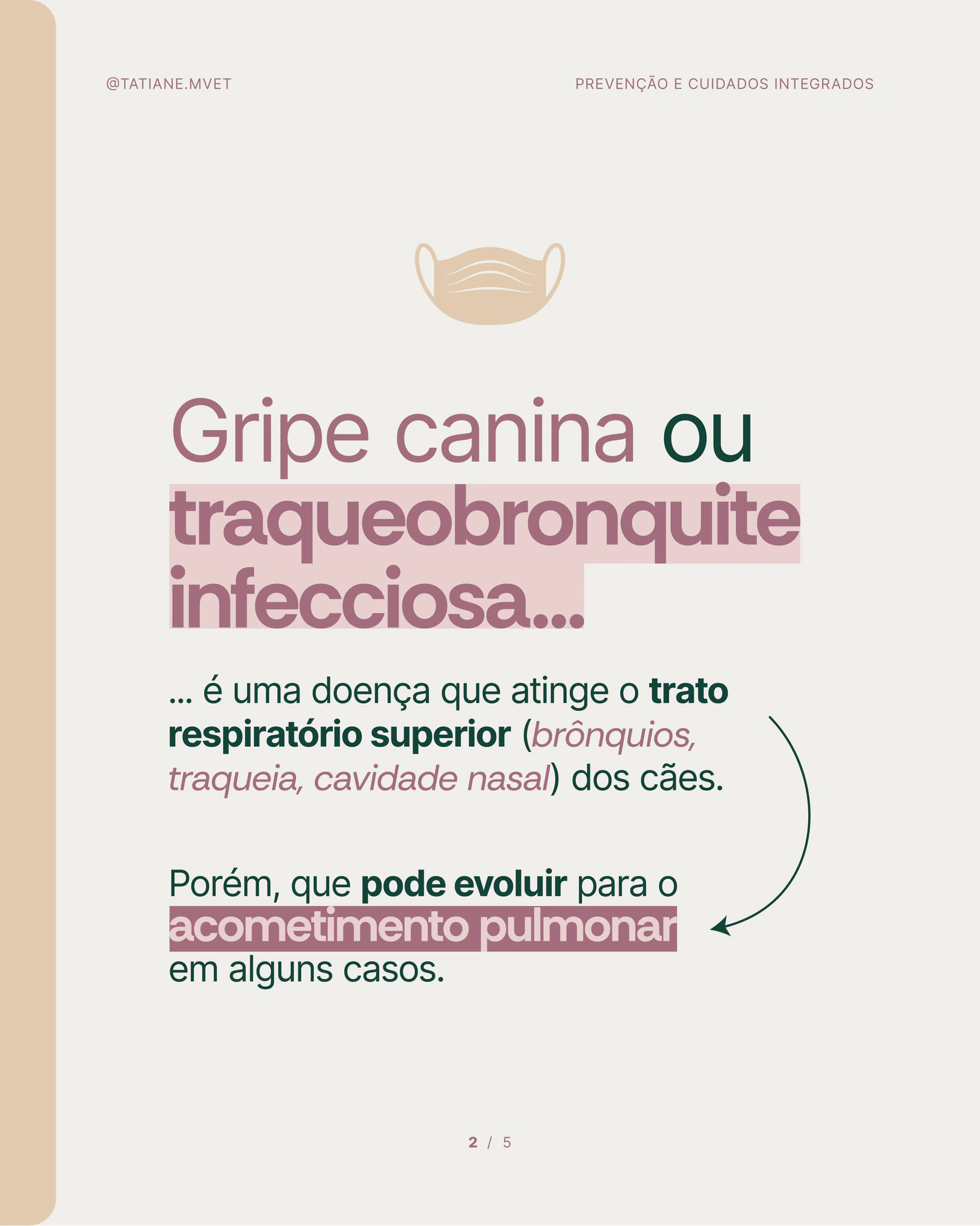 Explicação sobre gripe canina e traqueobronquite infecciosa do projeto TATIANE MODESTO