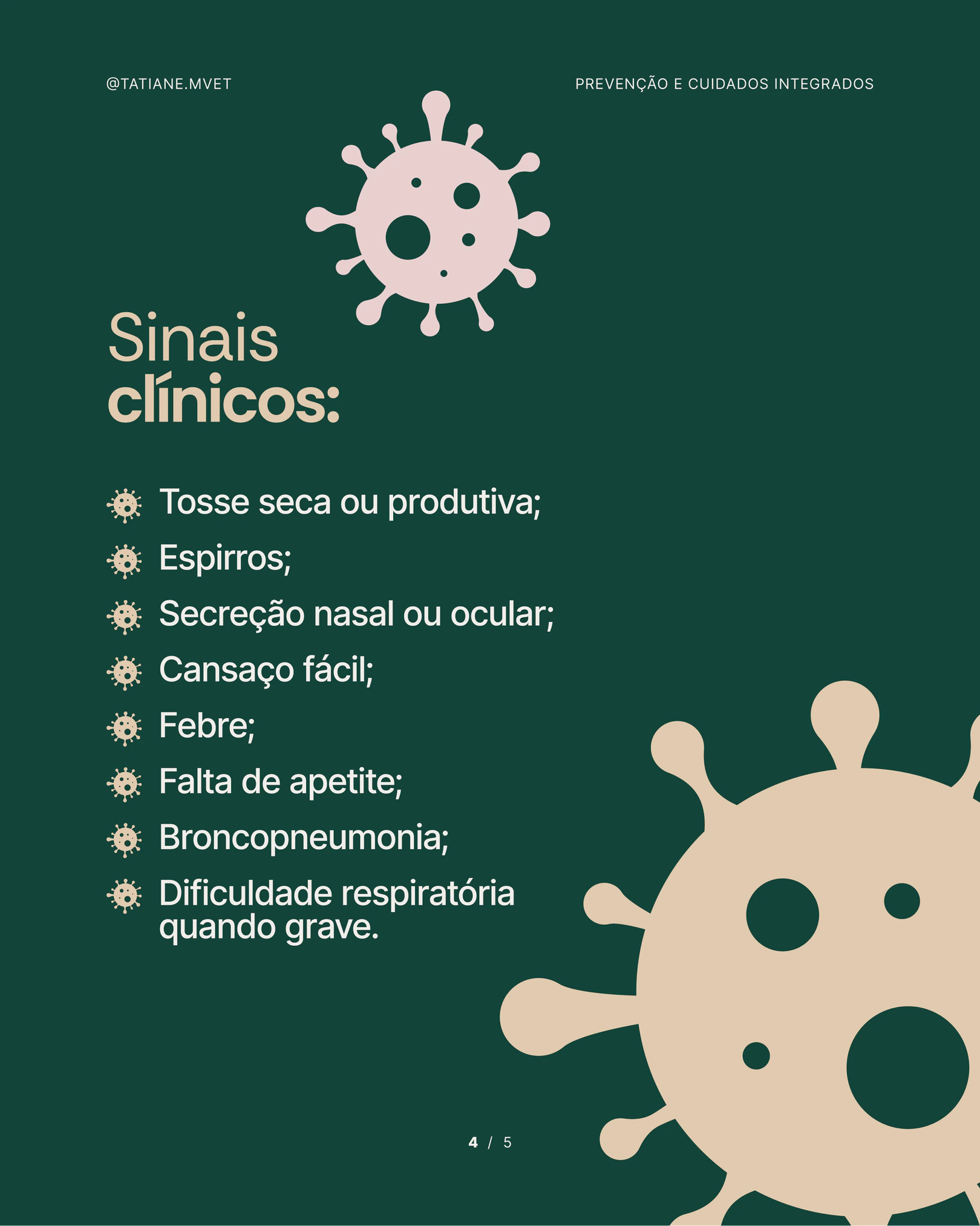 Lista de sinais clínicos da gripe canina do projeto TATIANE MODESTO