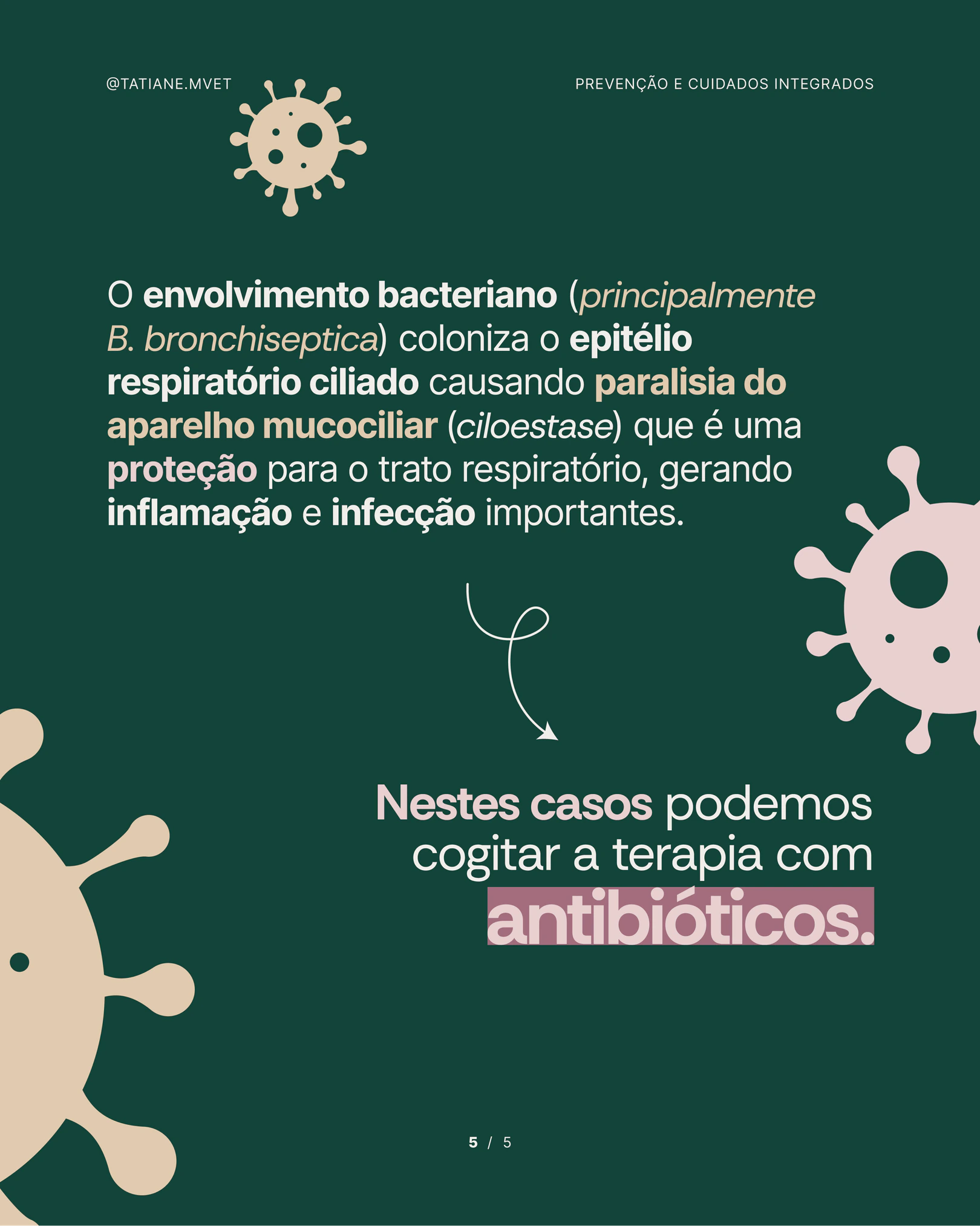 Explicação sobre envolvimento bacteriano e terapia com antibióticos do projeto TATIANE MODESTO