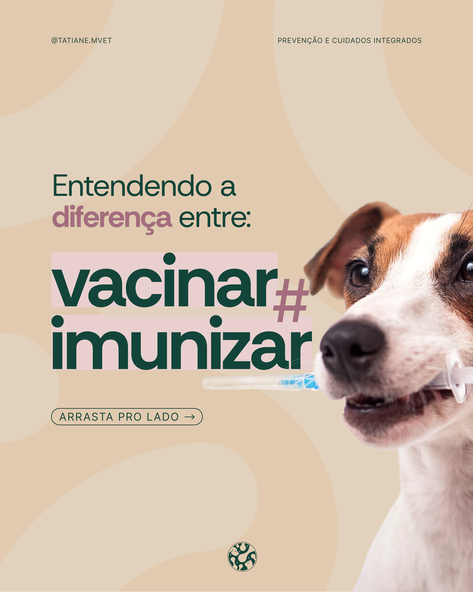 Capa sobre a diferença entre vacinar e imunizar do projeto TATIANE MODESTO
