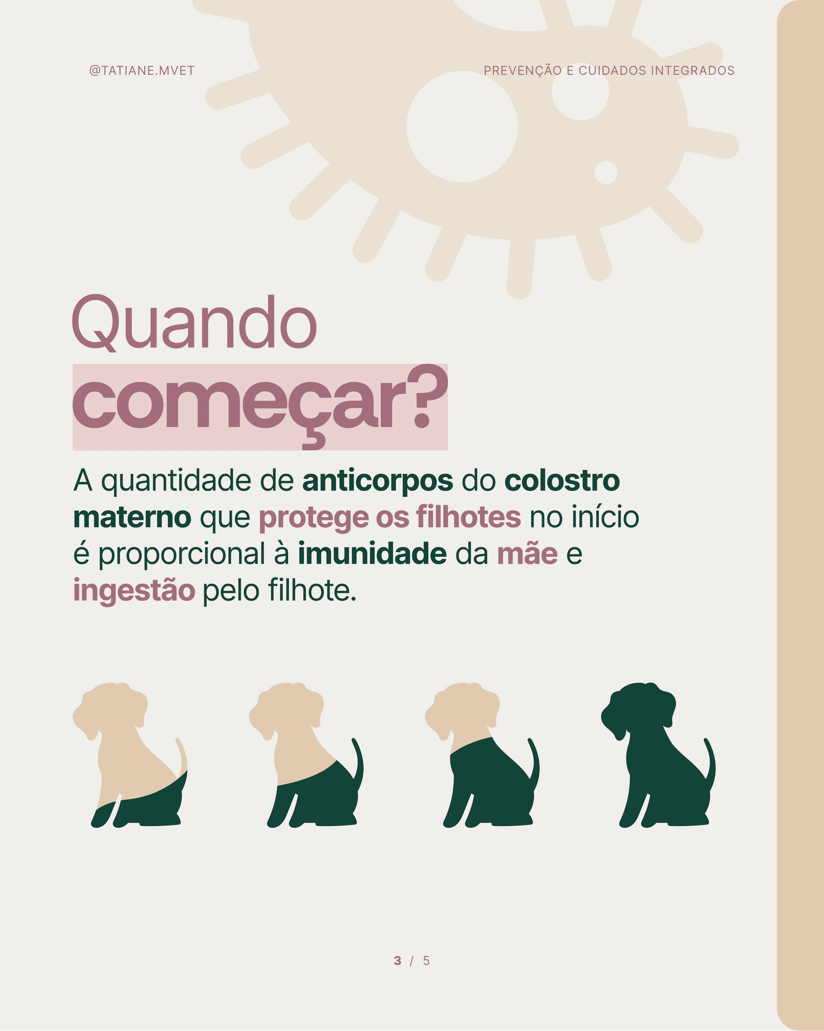 Orientação sobre quando começar a imunização dos filhotes do projeto TATIANE MODESTO