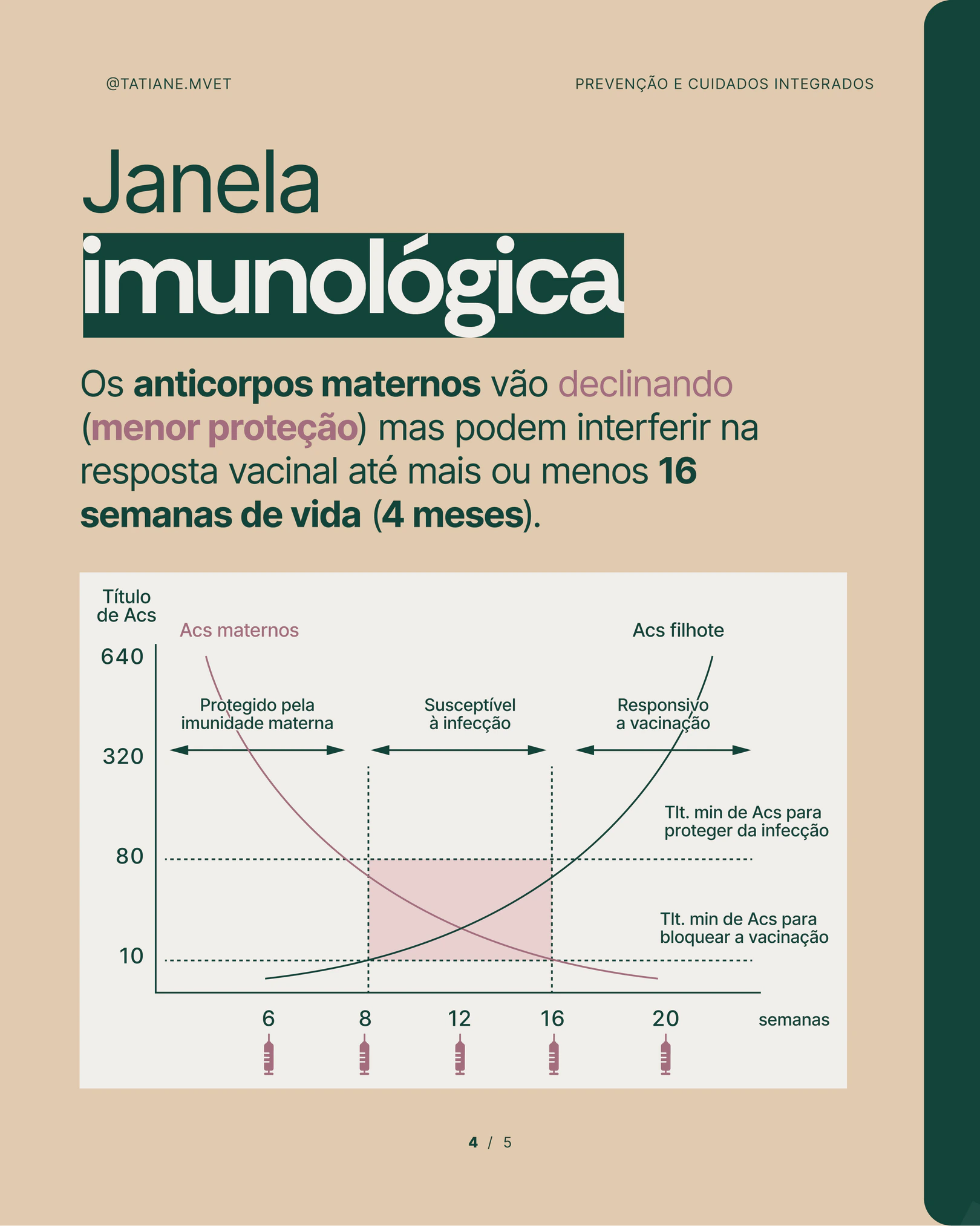 Gráfico sobre a janela imunológica dos filhotes do projeto TATIANE MODESTO