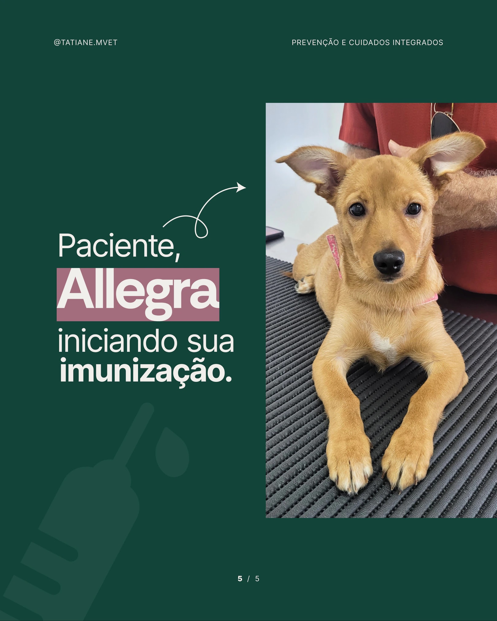 Registro da paciente Allegra iniciando sua imunização do projeto TATIANE MODESTO