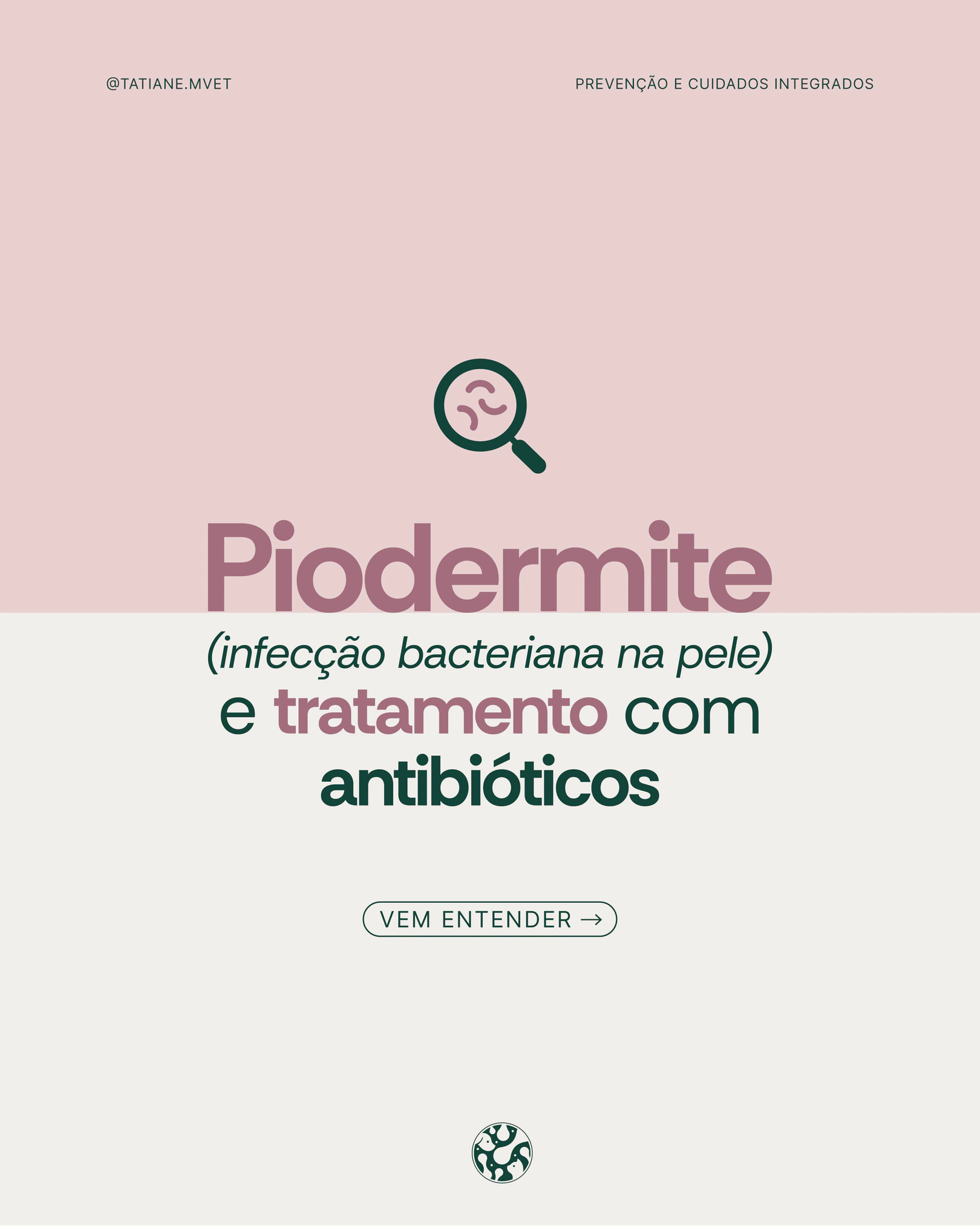 Capa sobre piodermite e tratamento com antibióticos do projeto TATIANE MODESTO