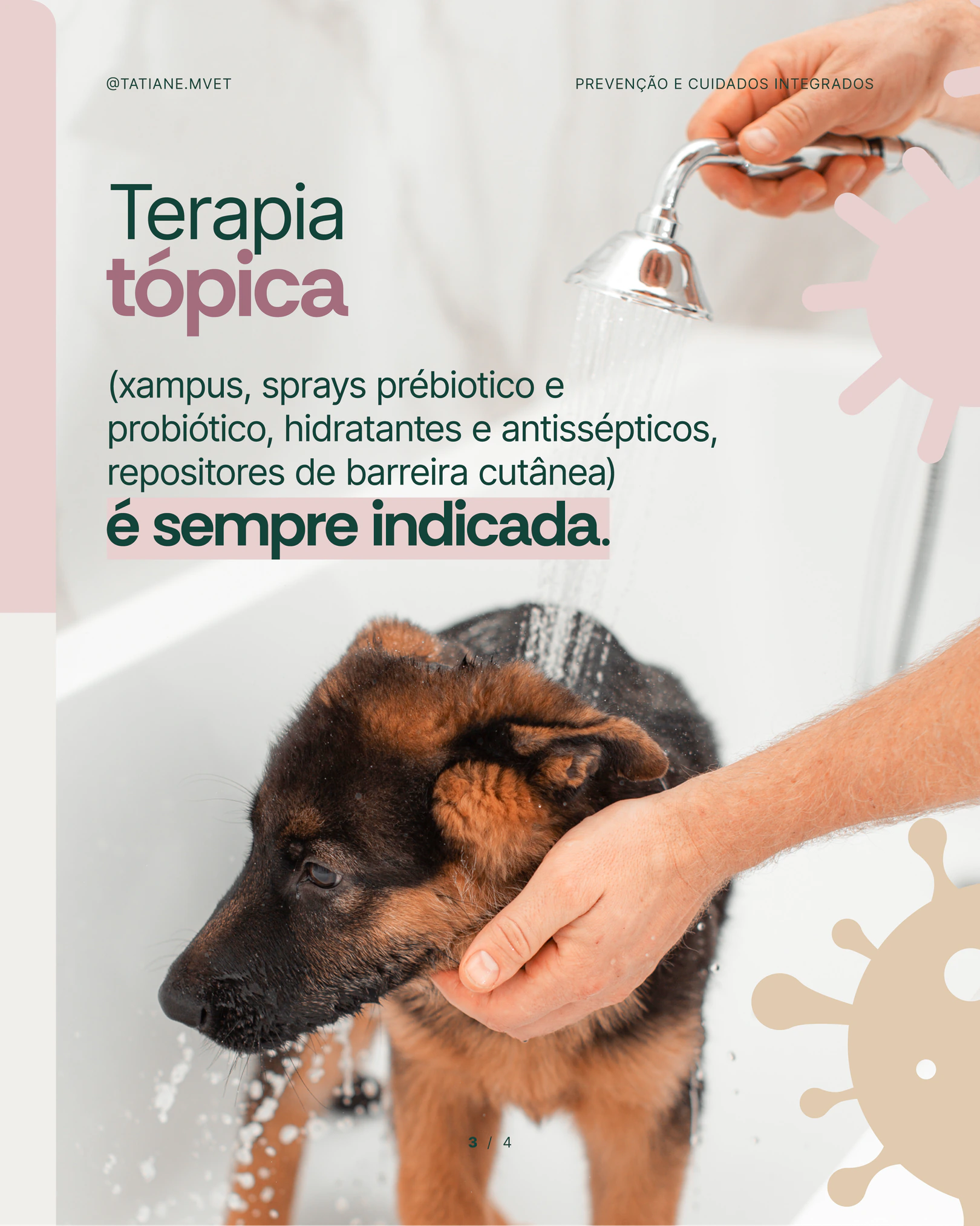 Orientações sobre terapia tópica para piodermite do projeto TATIANE MODESTO