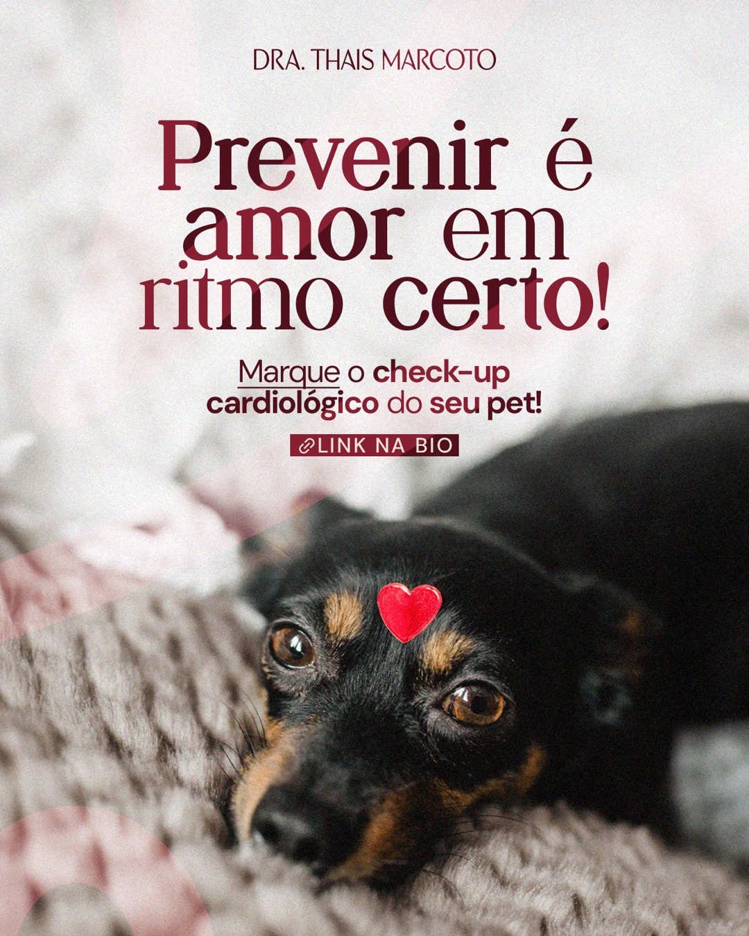 Post sobre prevenção e avaliação cardiológica para pets do projeto DRA. THAIS MARCOTO