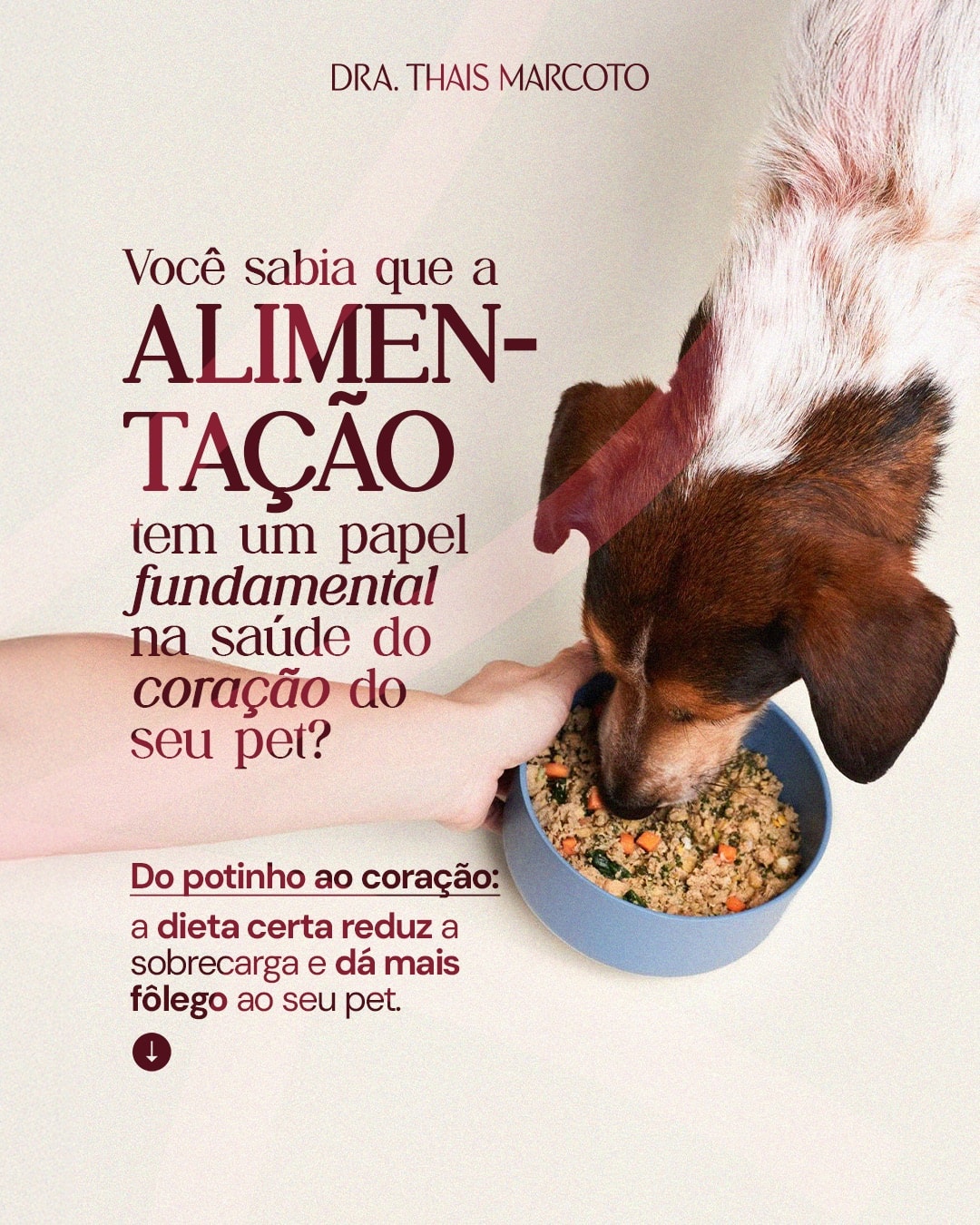 Post sobre alimentação e saúde do coração dos pets do projeto DRA. THAIS MARCOTO