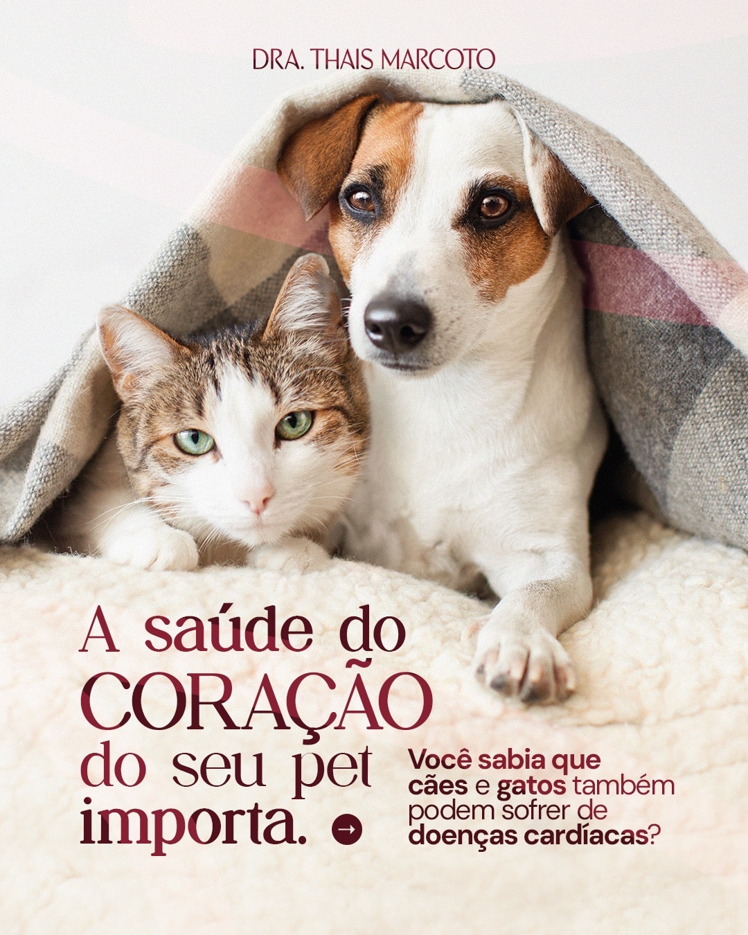 Capa sobre a importância da saúde do coração do pet do projeto DRA. THAIS MARCOTO