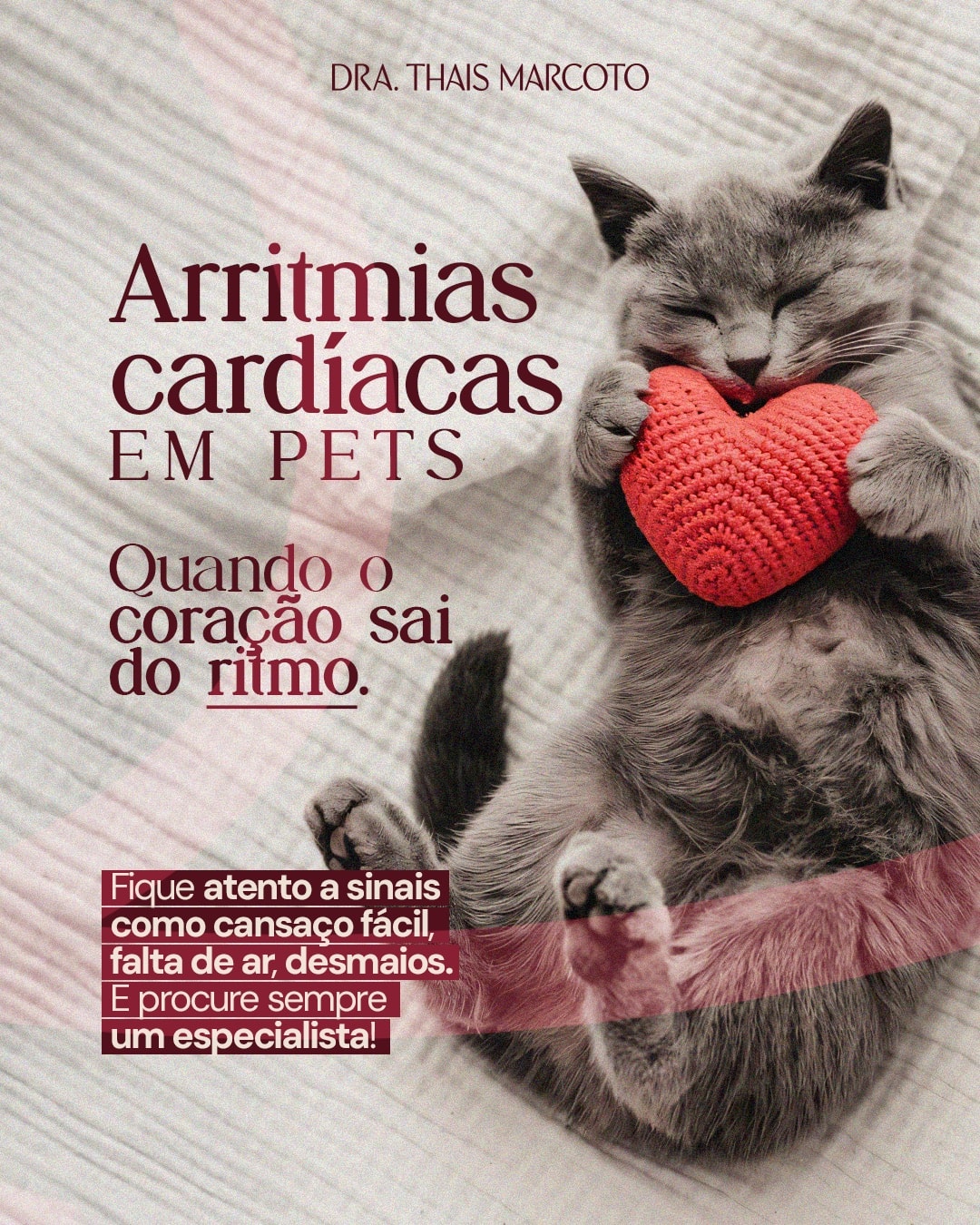 Post sobre arritmias cardíacas em pets do projeto DRA. THAIS MARCOTO