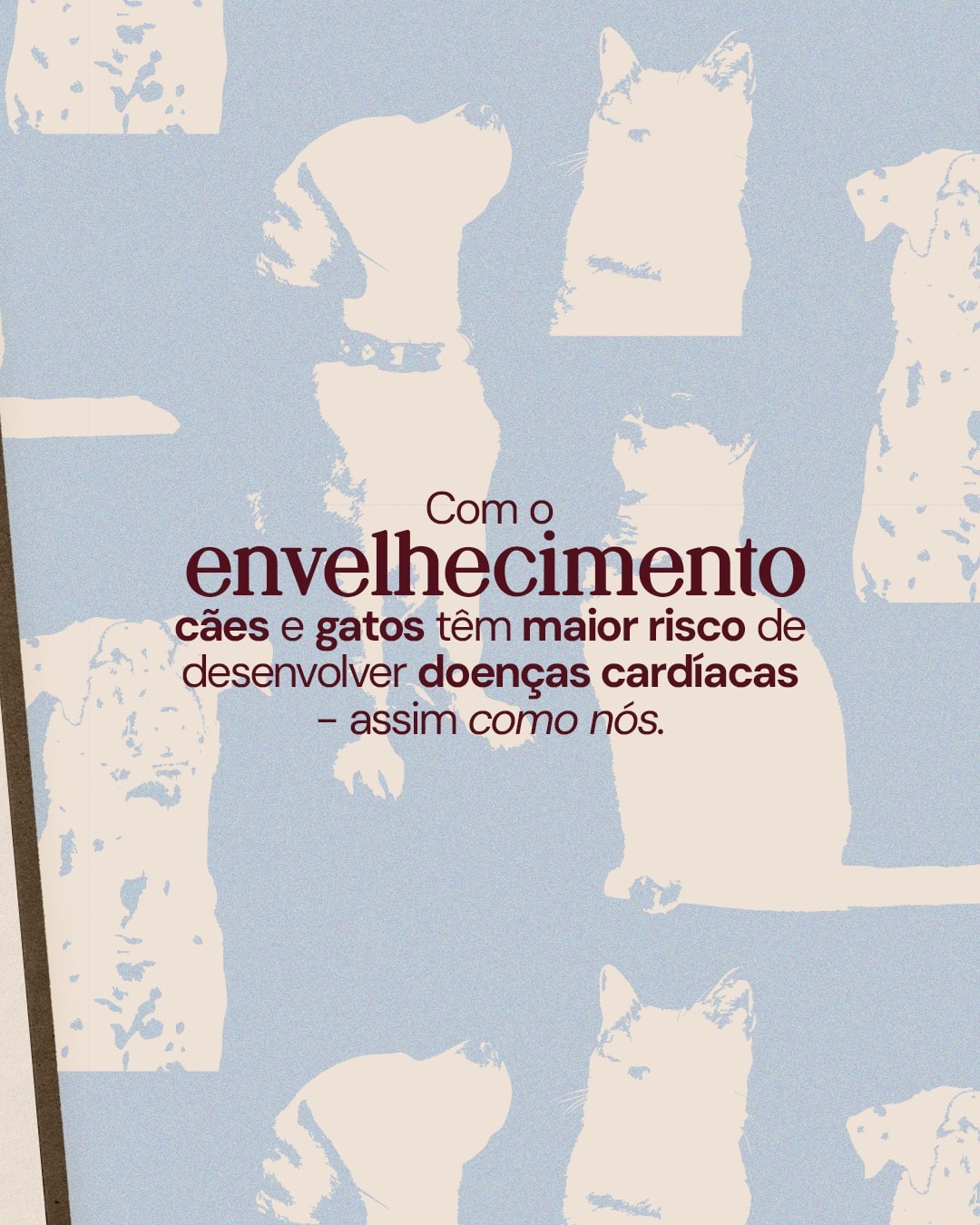 Explicação sobre a importância do check-up cardiológico do projeto DRA. THAIS MARCOTO