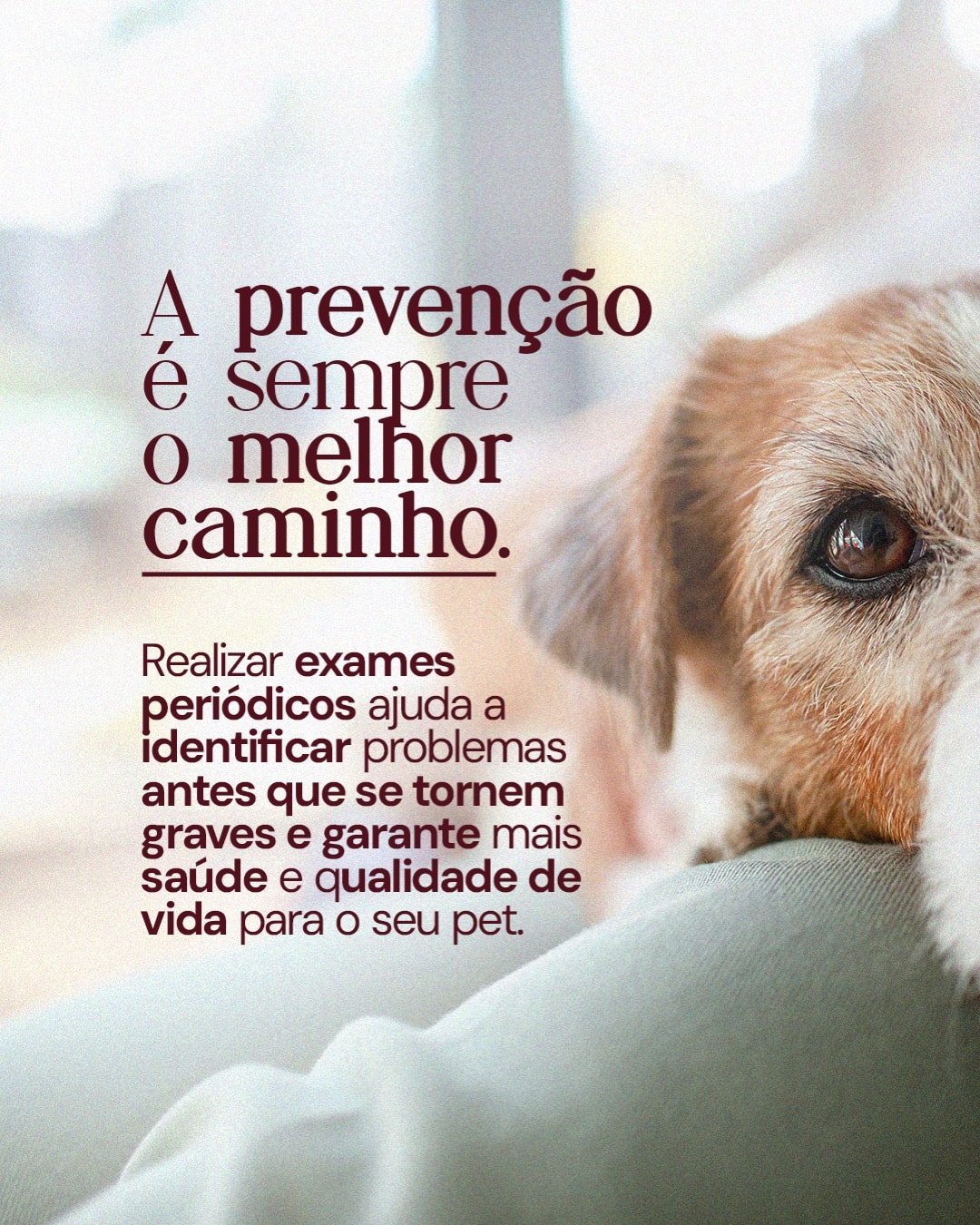 Benefícios do acompanhamento cardiológico preventivo do projeto DRA. THAIS MARCOTO