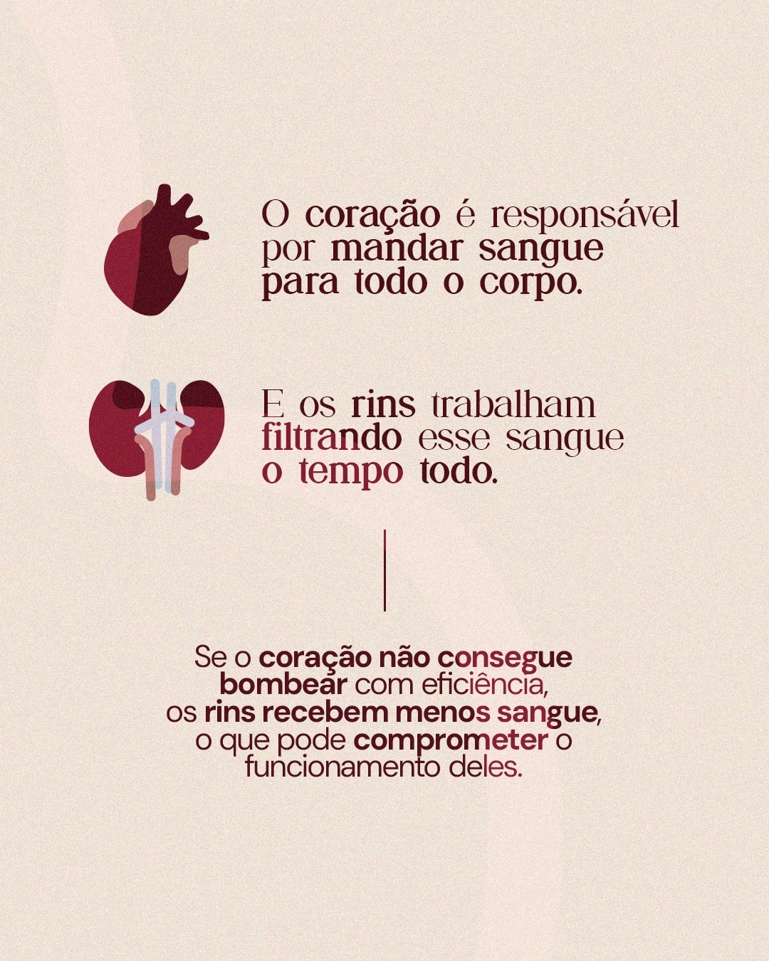 Explicação sobre a conexão entre a função cardíaca e renal do projeto DRA. THAIS MARCOTO