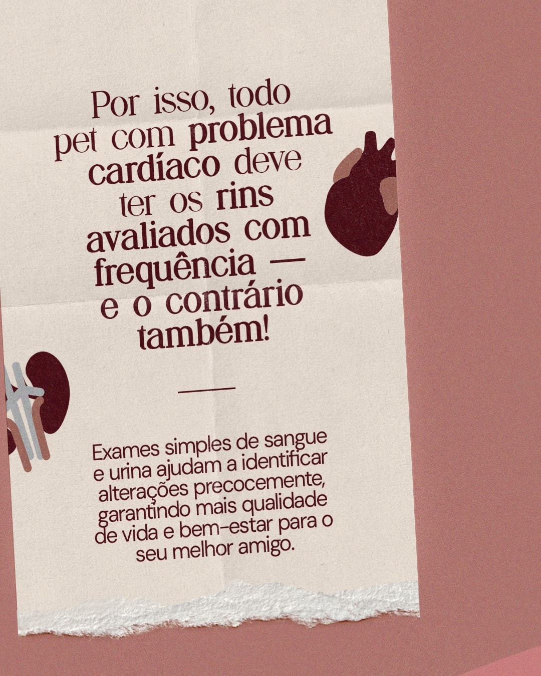 Cuidados integrados com a saúde do coração e dos rins do projeto DRA. THAIS MARCOTO