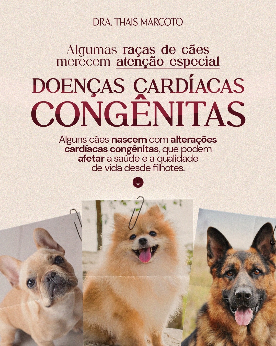 Post sobre doenças cardíacas congênitas em pets do projeto DRA. THAIS MARCOTO