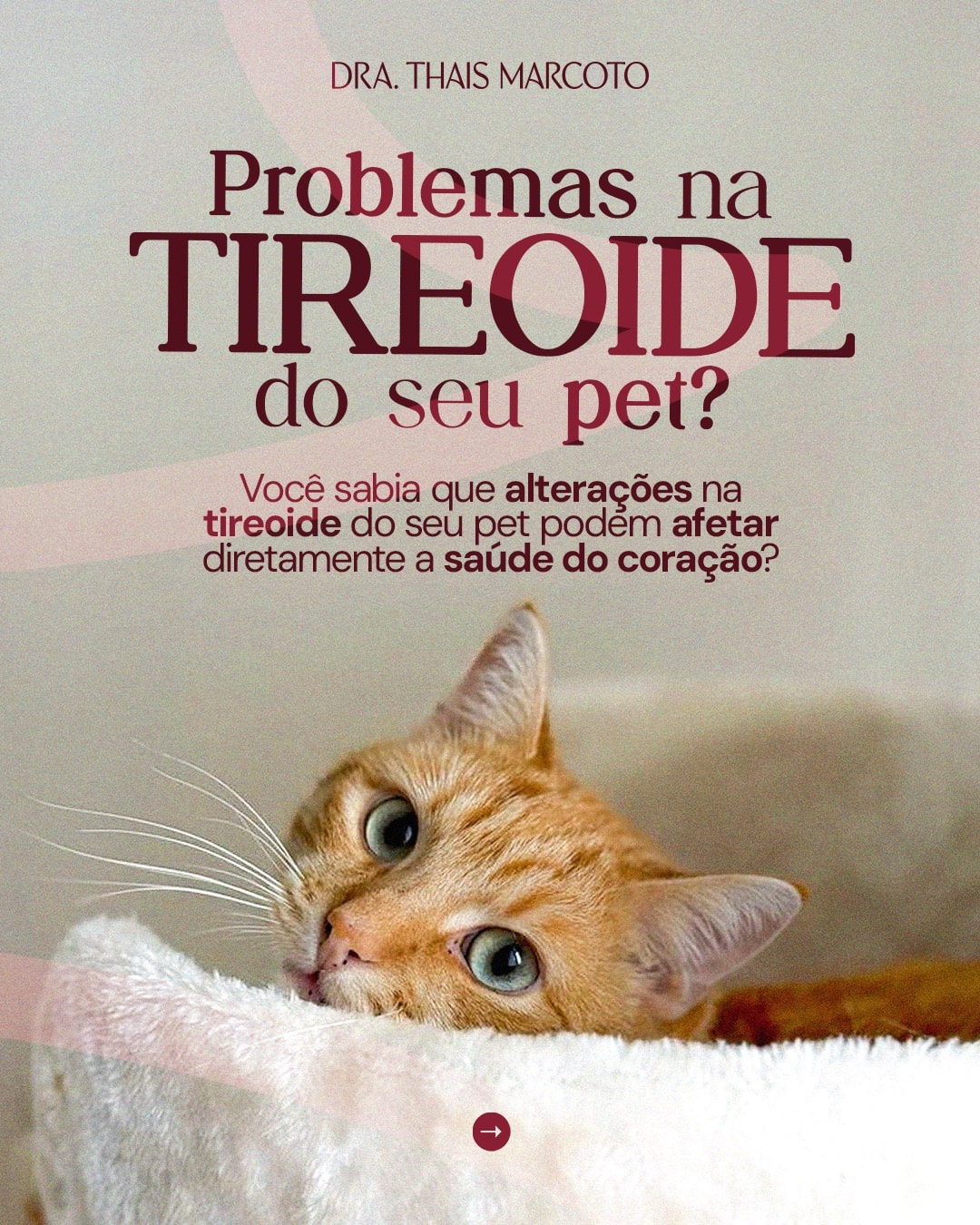 Capa sobre problemas na tireoide e a saúde do coração do pet do projeto DRA. THAIS MARCOTO