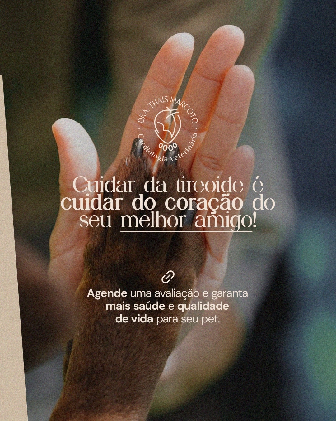 Encerramento sobre cuidar da tireoide e do coração do pet do projeto DRA. THAIS MARCOTO