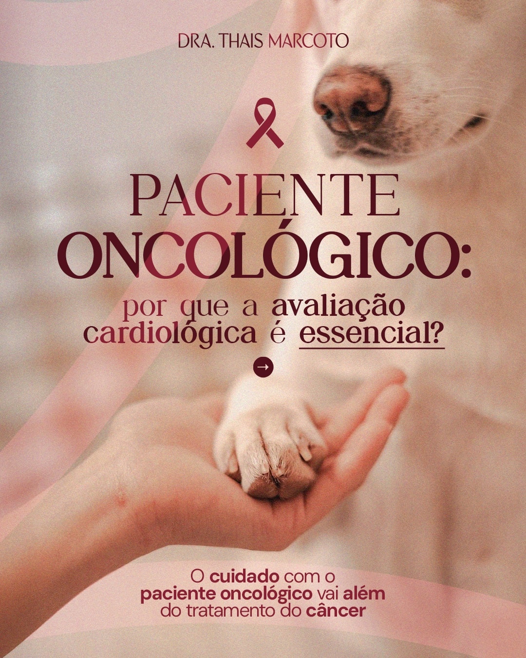 Capa sobre avaliação cardiológica do paciente oncológico do projeto DRA. THAIS MARCOTO