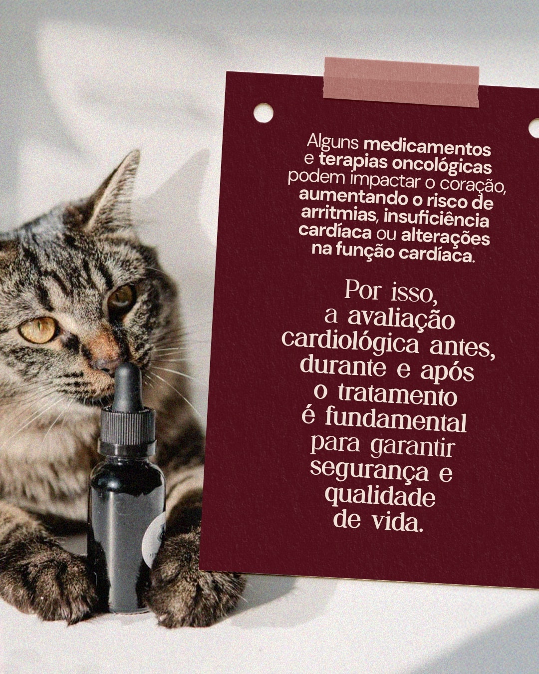 Explicação sobre os efeitos do tratamento oncológico no coração do projeto DRA. THAIS MARCOTO