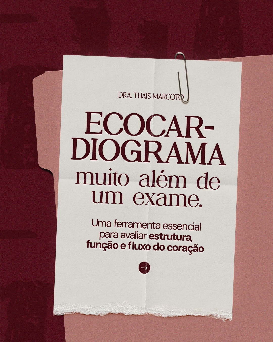 Capa sobre ecocardiograma na cardiologia veterinária do projeto DRA. THAIS MARCOTO
