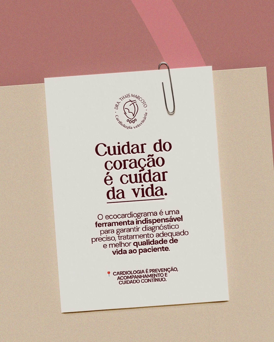 Encerramento sobre o ecocardiograma no cuidado contínuo do projeto DRA. THAIS MARCOTO