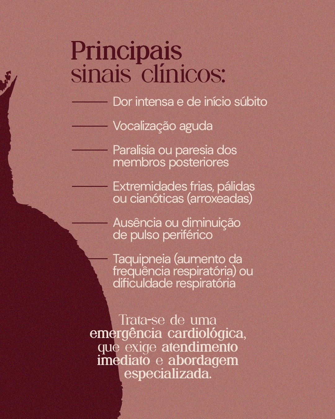 Principais sinais clínicos do tromboembolismo arterial felino do projeto DRA. THAIS MARCOTO