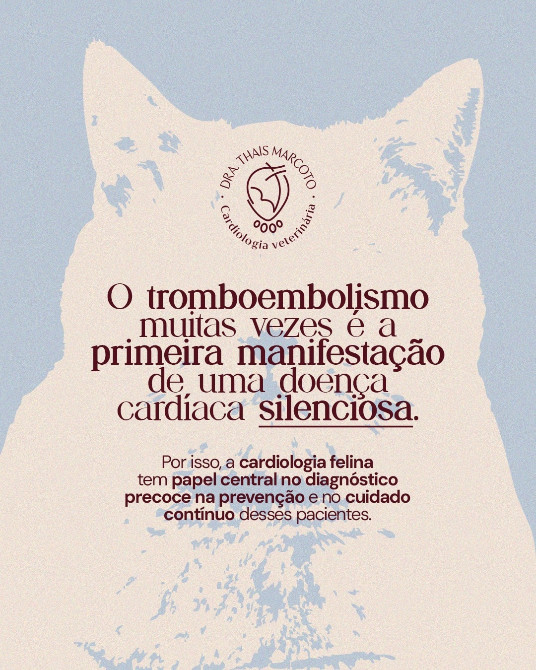 Encerramento sobre diagnóstico precoce na cardiologia felina do projeto DRA. THAIS MARCOTO