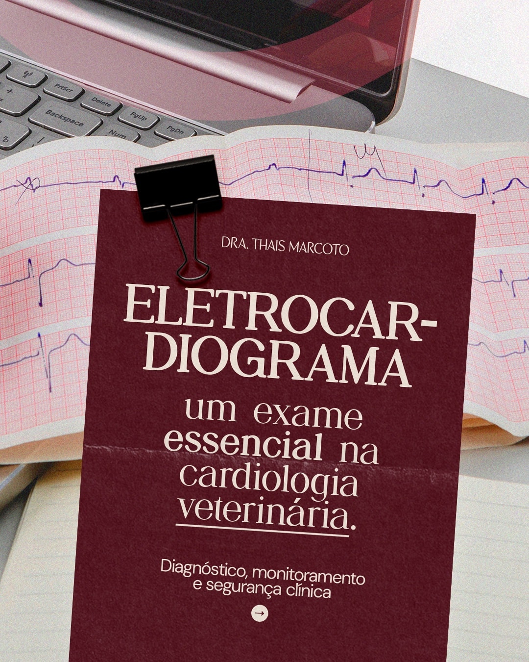 Capa sobre eletrocardiograma na cardiologia veterinária do projeto DRA. THAIS MARCOTO