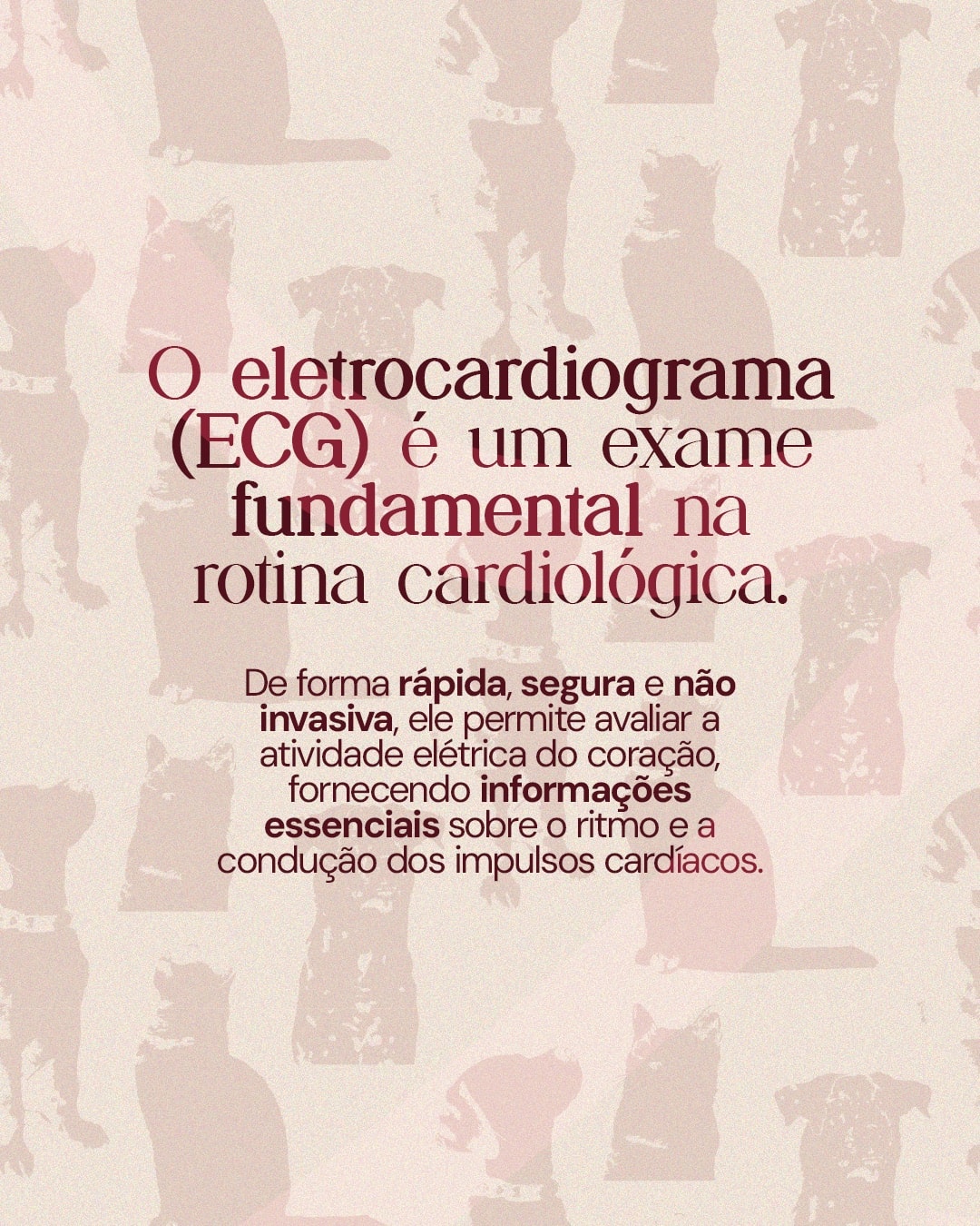 Explicação sobre o eletrocardiograma na rotina cardiológica do projeto DRA. THAIS MARCOTO