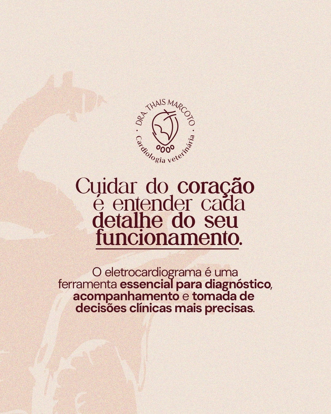 Encerramento sobre diagnóstico e acompanhamento com eletrocardiograma do projeto DRA. THAIS MARCOTO