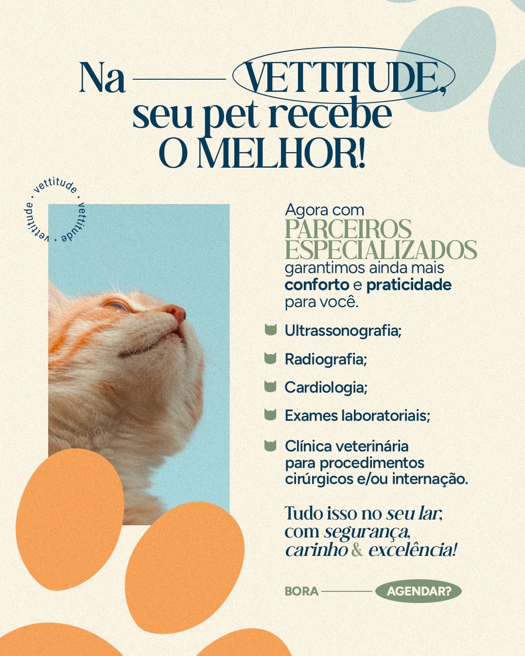 Post sobre atendimento veterinário completo em casa do projeto VETTITUDE