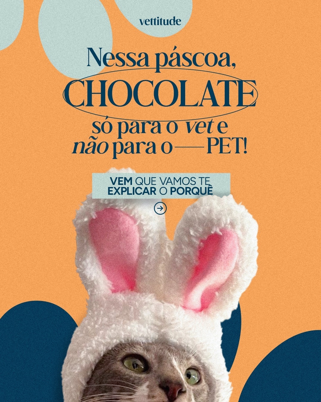 Capa de carrossel sobre os riscos do chocolate para pets do projeto VETTITUDE