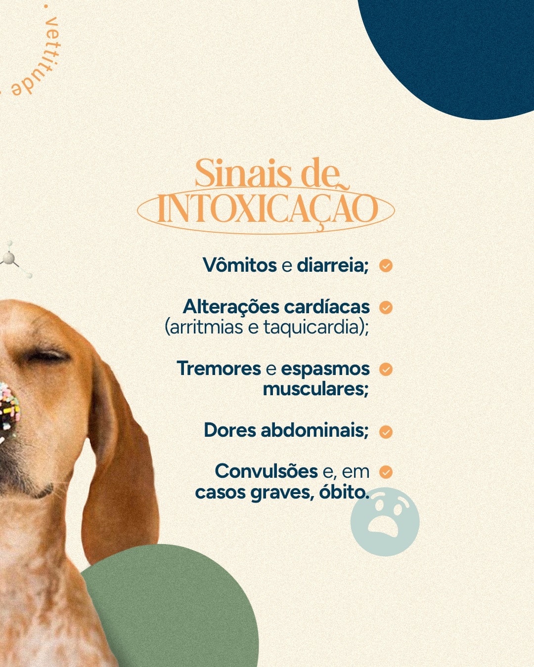 Lista de sinais de intoxicação por chocolate do projeto VETTITUDE