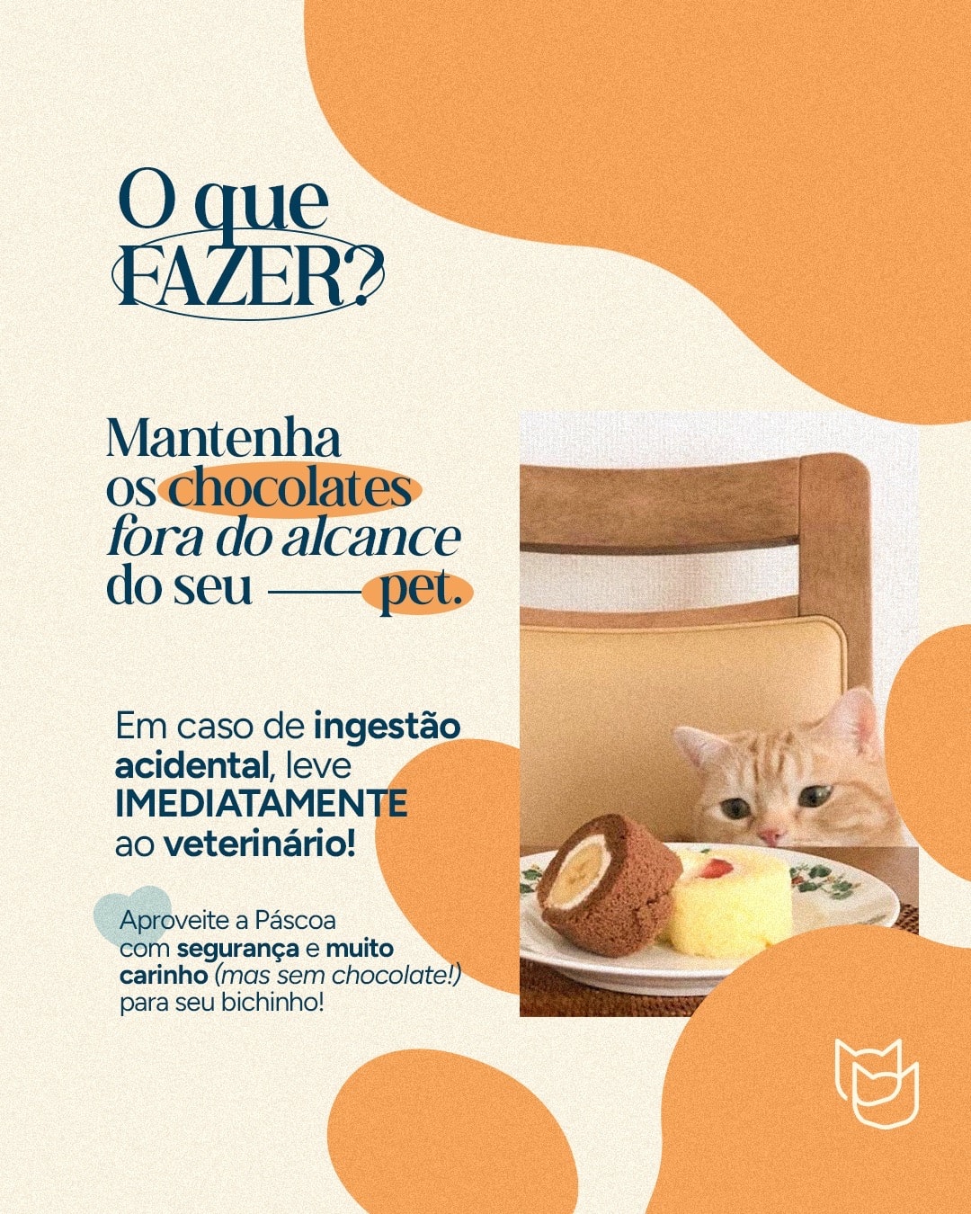 Cuidados para manter chocolates longe dos pets do projeto VETTITUDE