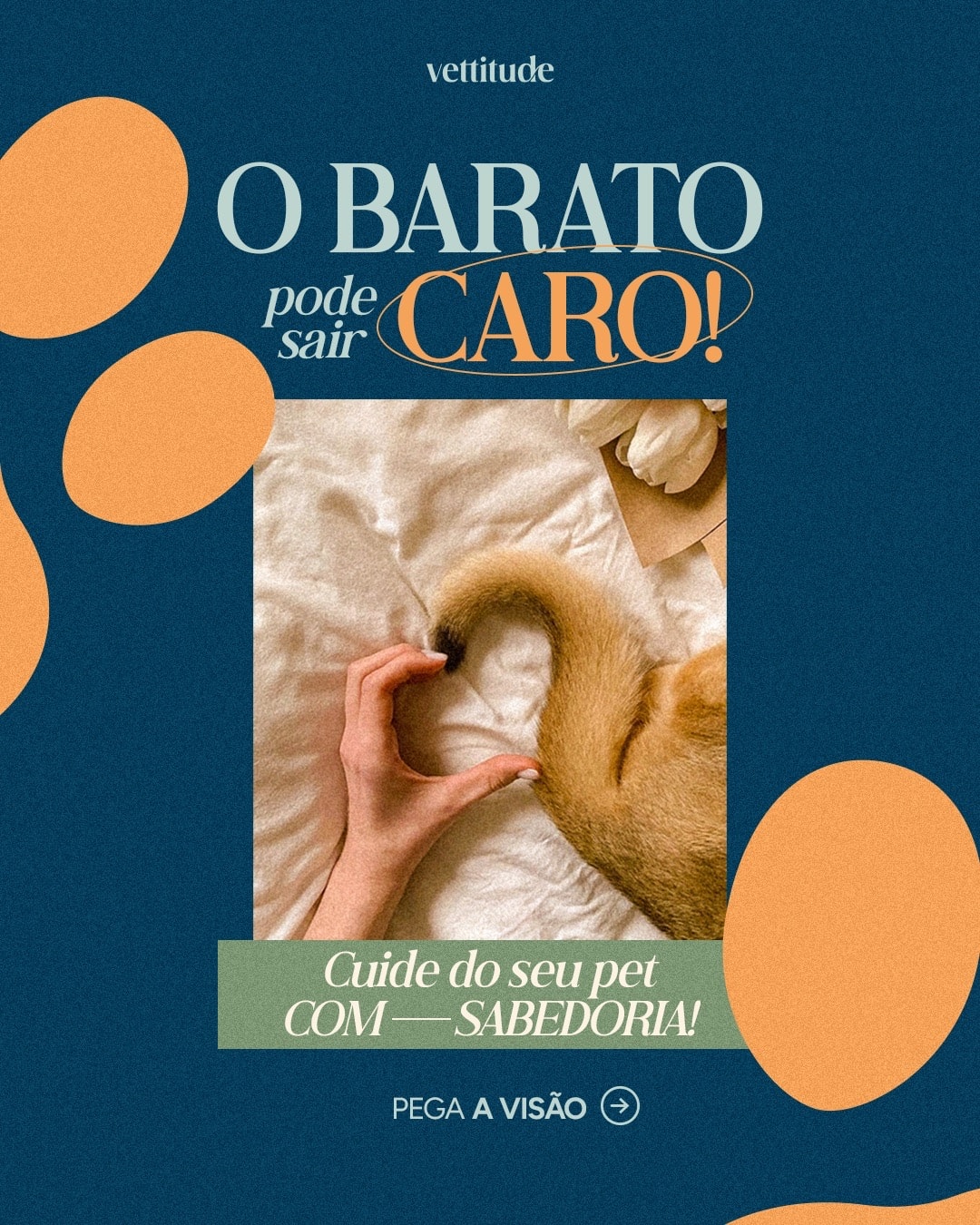 Capa de carrossel sobre escolhas econômicas no cuidado com pets do projeto VETTITUDE