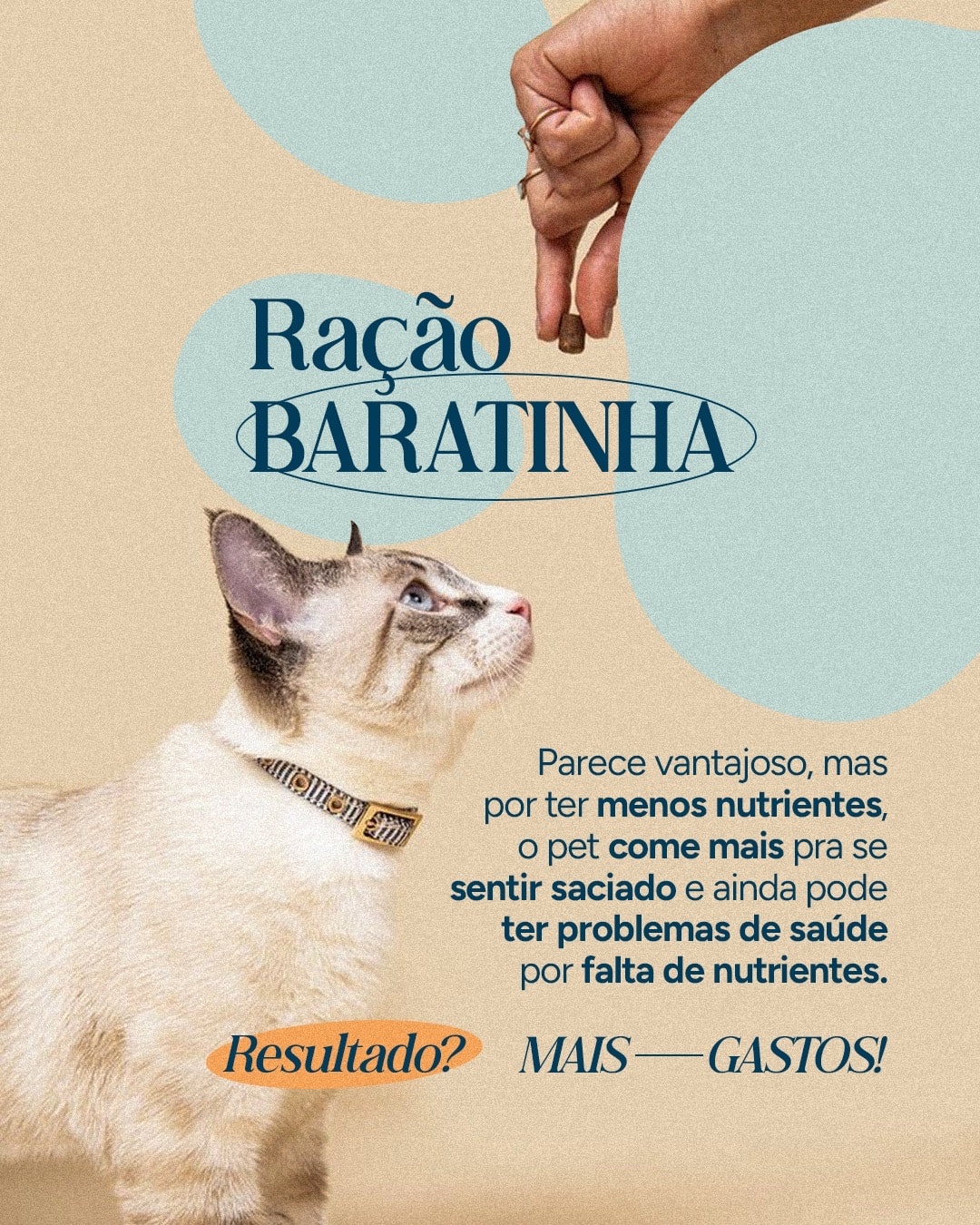 Post sobre os riscos de oferecer ração com poucos nutrientes do projeto VETTITUDE