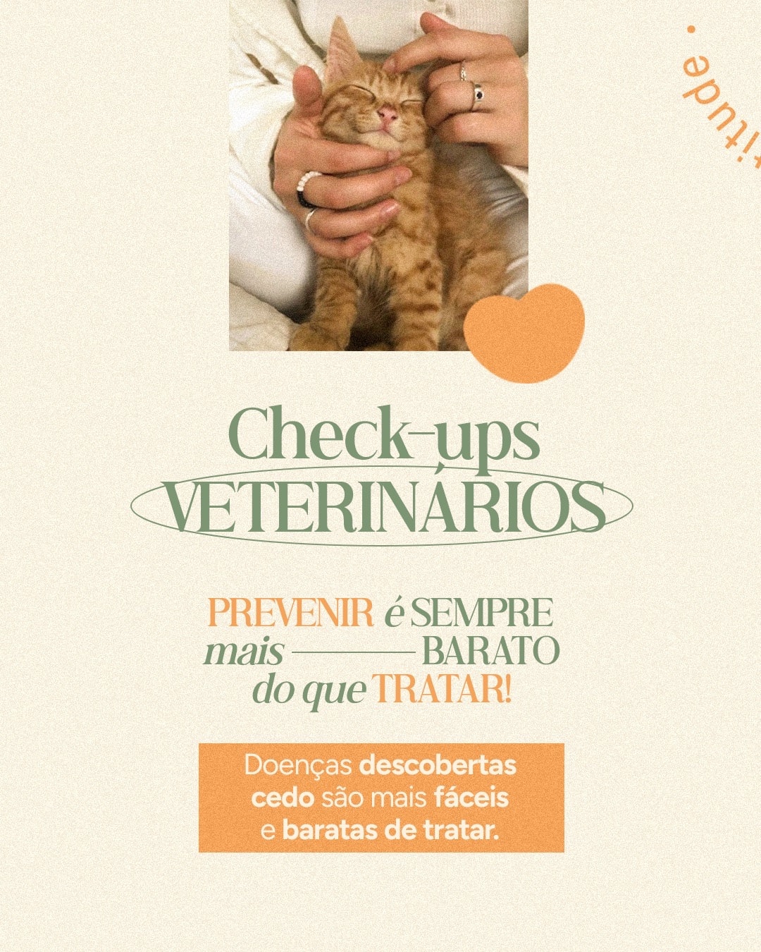 Post sobre a importância dos check-ups veterinários do projeto VETTITUDE