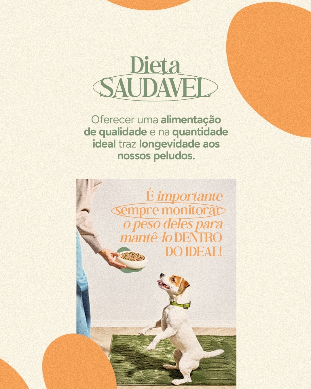 Post sobre alimentação de qualidade e peso saudável do projeto VETTITUDE