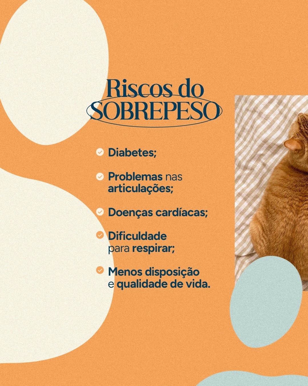 Lista de riscos do sobrepeso para cães e gatos do projeto VETTITUDE