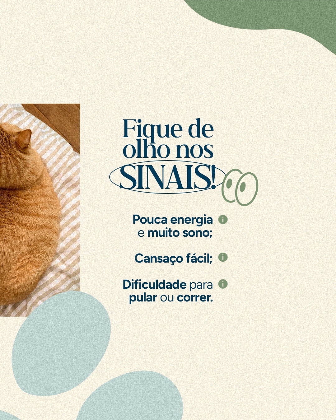 Sinais de pouca disposição relacionados ao sobrepeso do projeto VETTITUDE