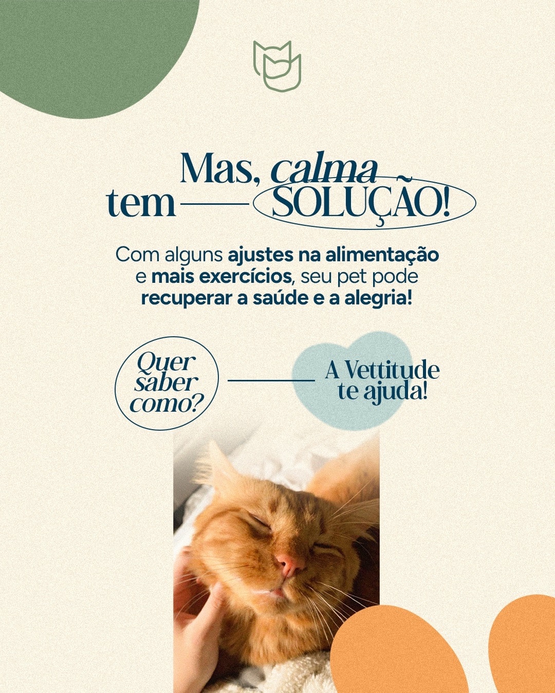 Orientações sobre alimentação e exercícios para recuperar a saúde do pet do projeto VETTITUDE