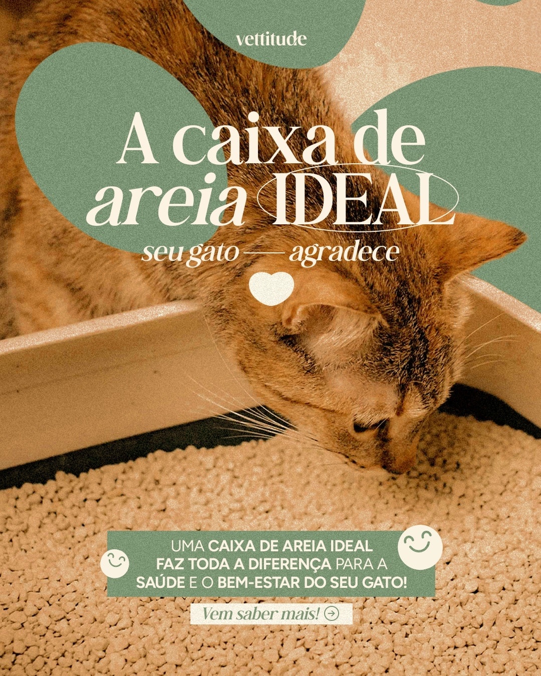 Capa de carrossel sobre a caixa de areia ideal do projeto VETTITUDE
