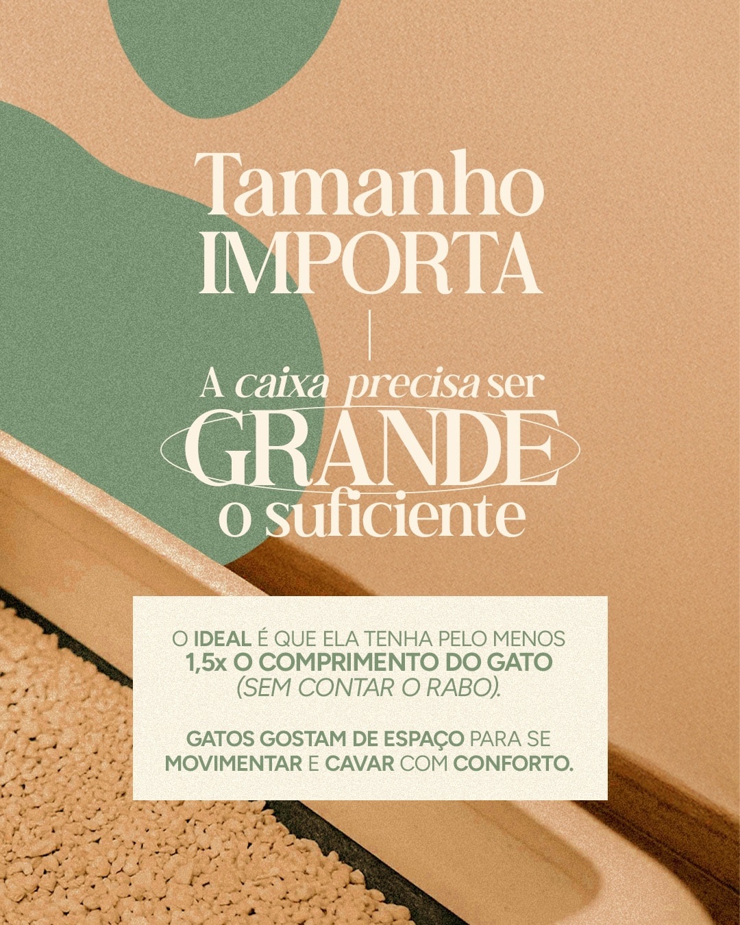 Orientação sobre o tamanho ideal da caixa de areia do projeto VETTITUDE
