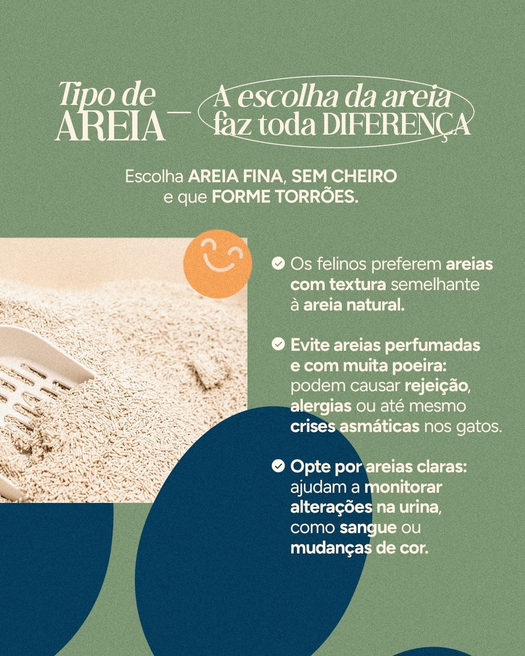 Orientações para escolher o tipo de areia dos gatos do projeto VETTITUDE