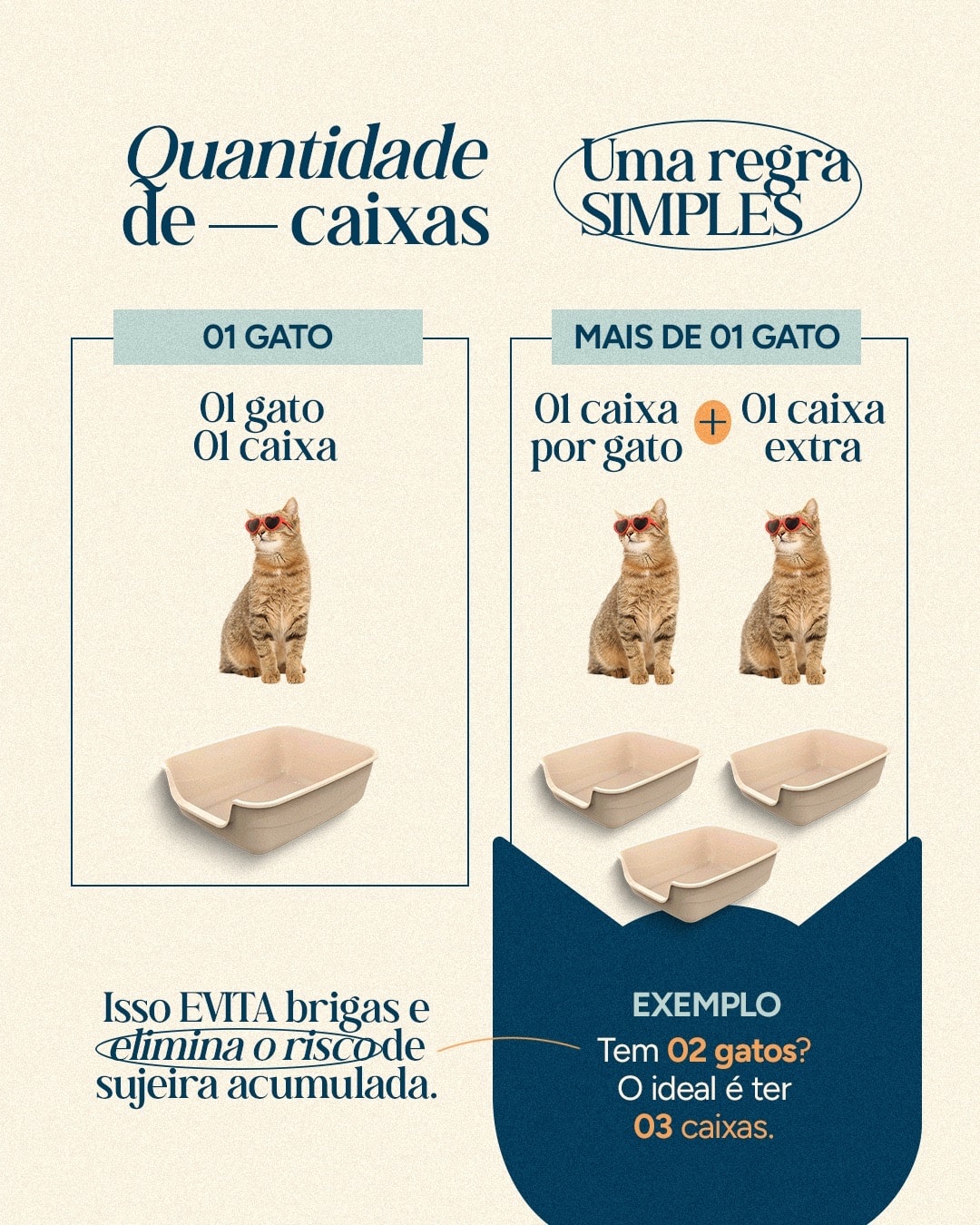 Regra para calcular a quantidade de caixas de areia do projeto VETTITUDE
