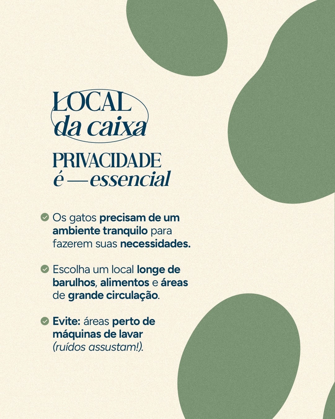 Orientações sobre o melhor local para a caixa de areia do projeto VETTITUDE