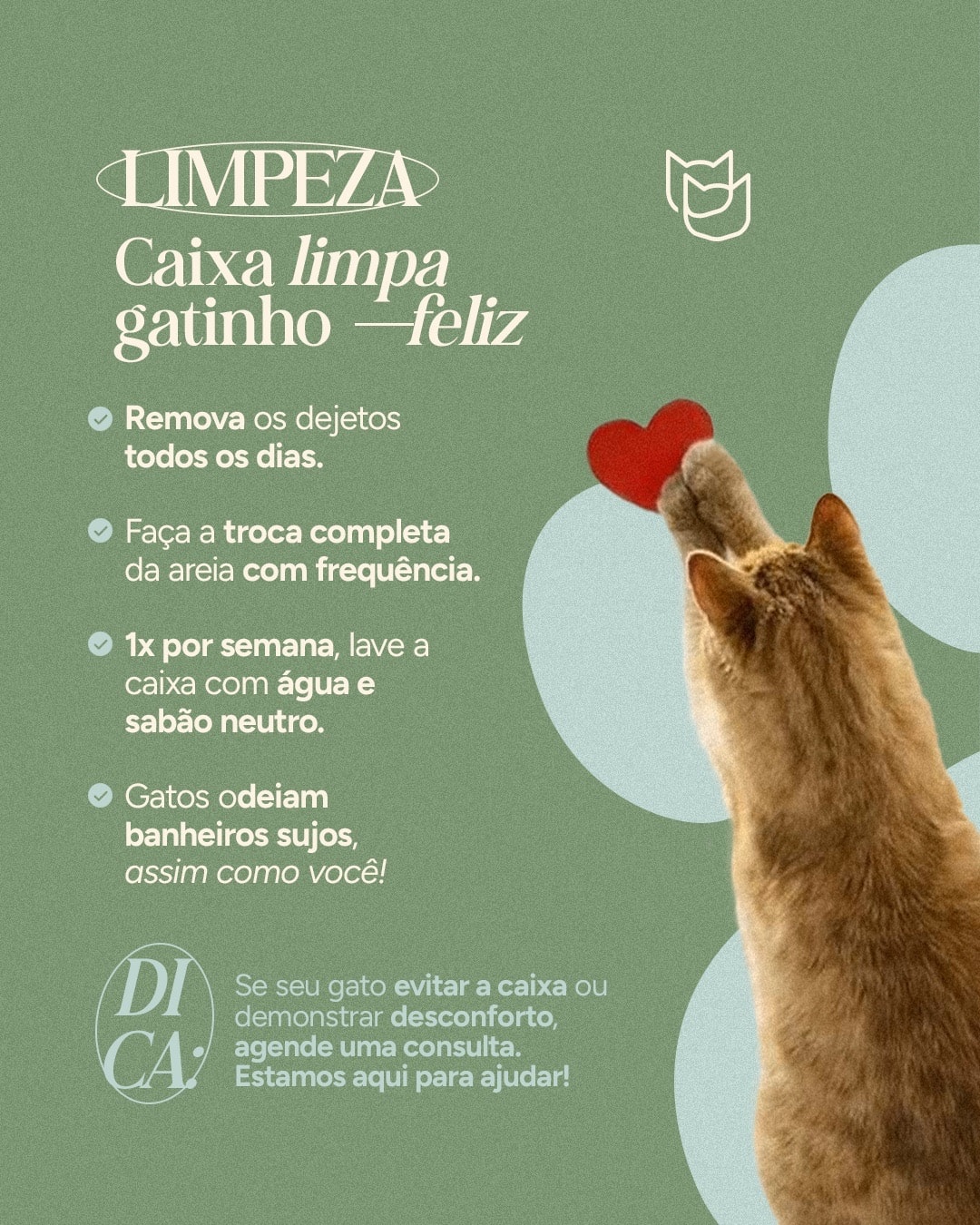 Rotina de limpeza recomendada para a caixa de areia do projeto VETTITUDE