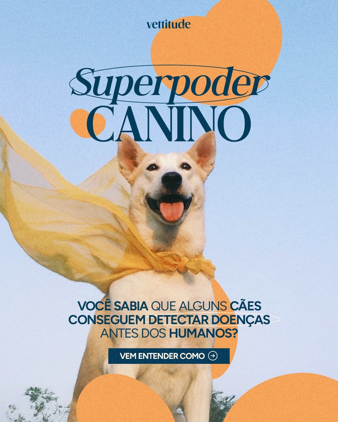 Capa sobre o superpoder do olfato canino do projeto VETTITUDE